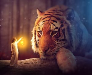 Photoshop Nedir ? Ne İşe Yarar ?
